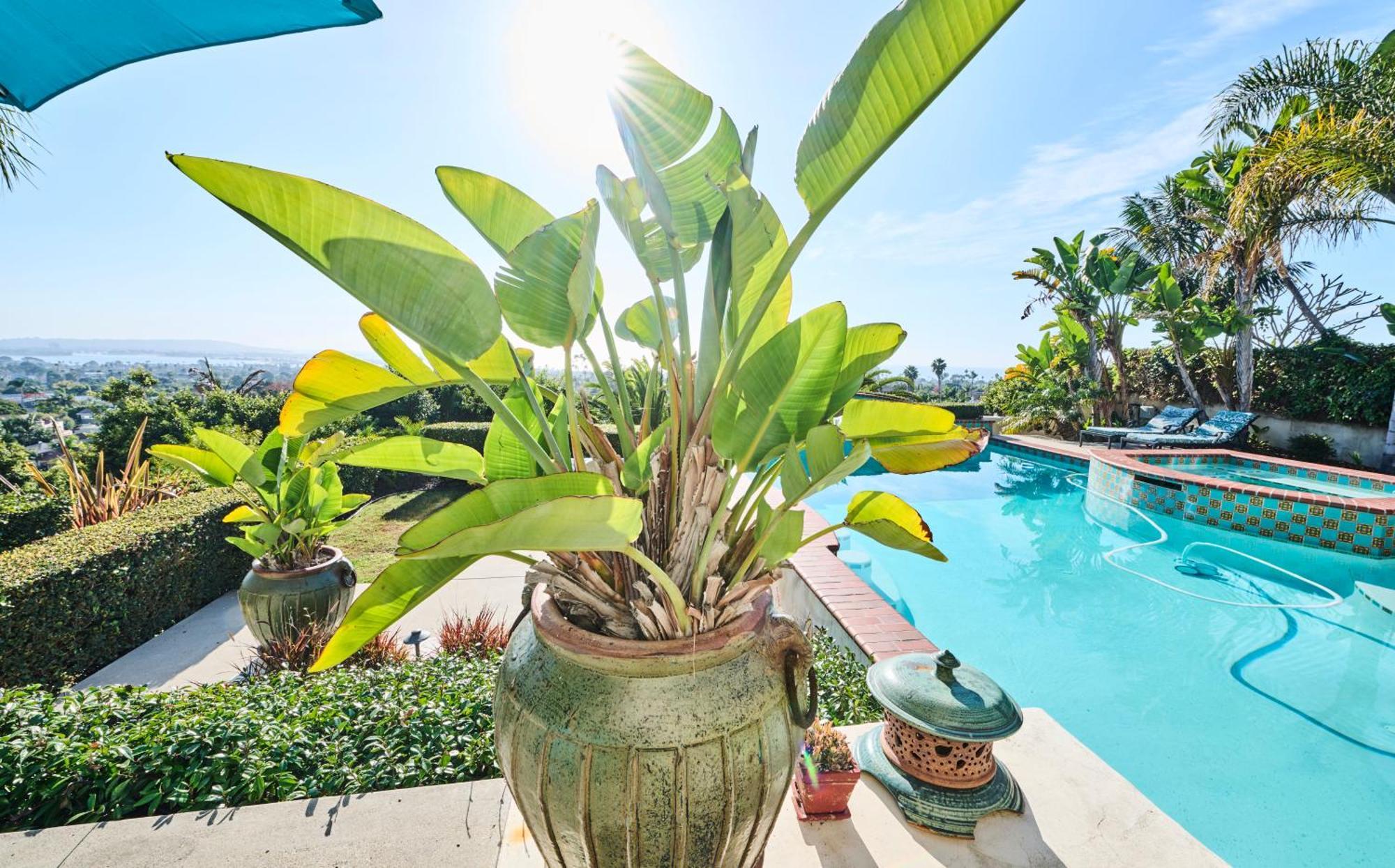 360 Degree Ocean & City Views With Pool, Spa, Close To The Beach! Pets Ok San Diego Dış mekan fotoğraf